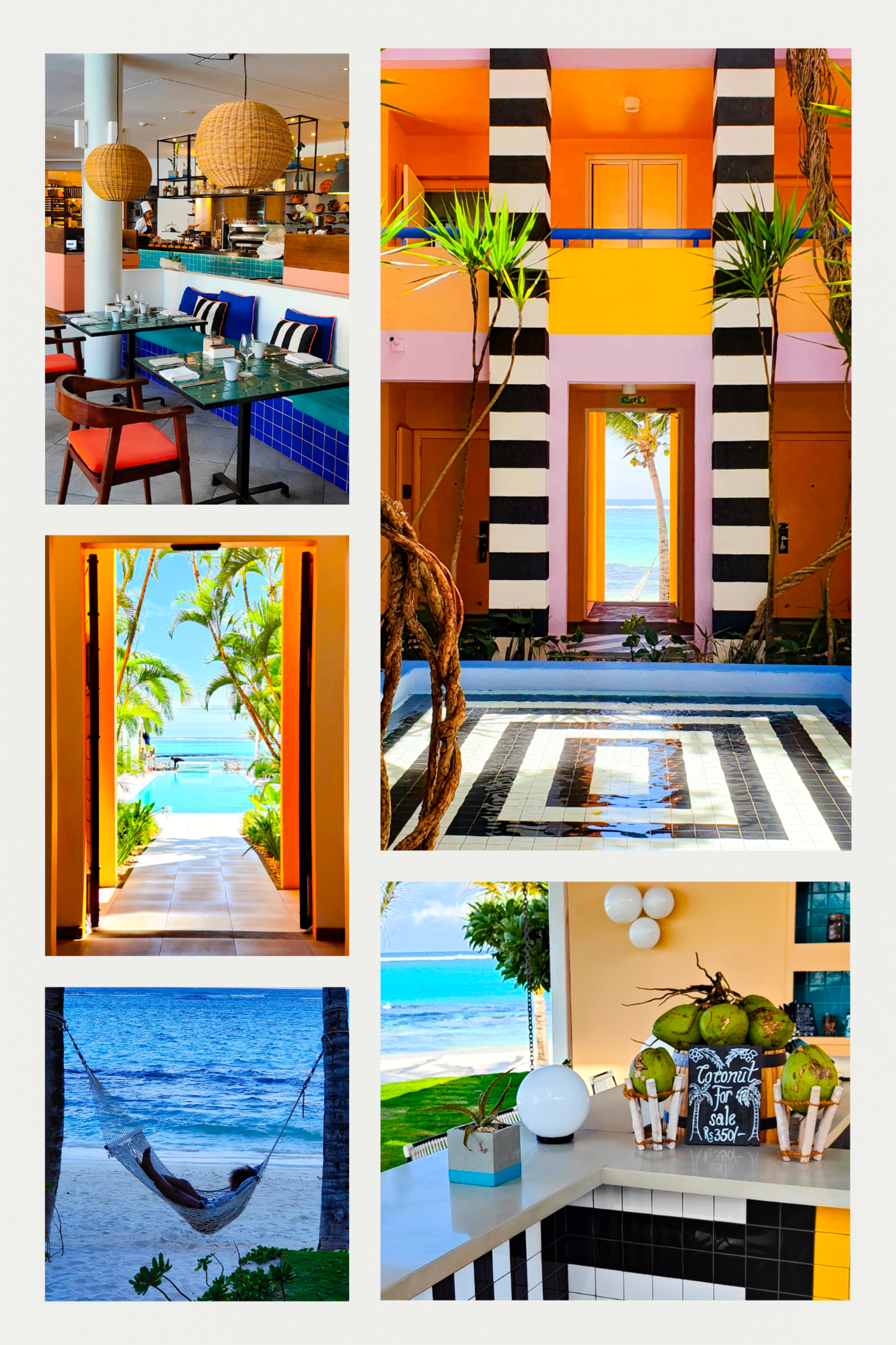 Collage of SALT of Palmar