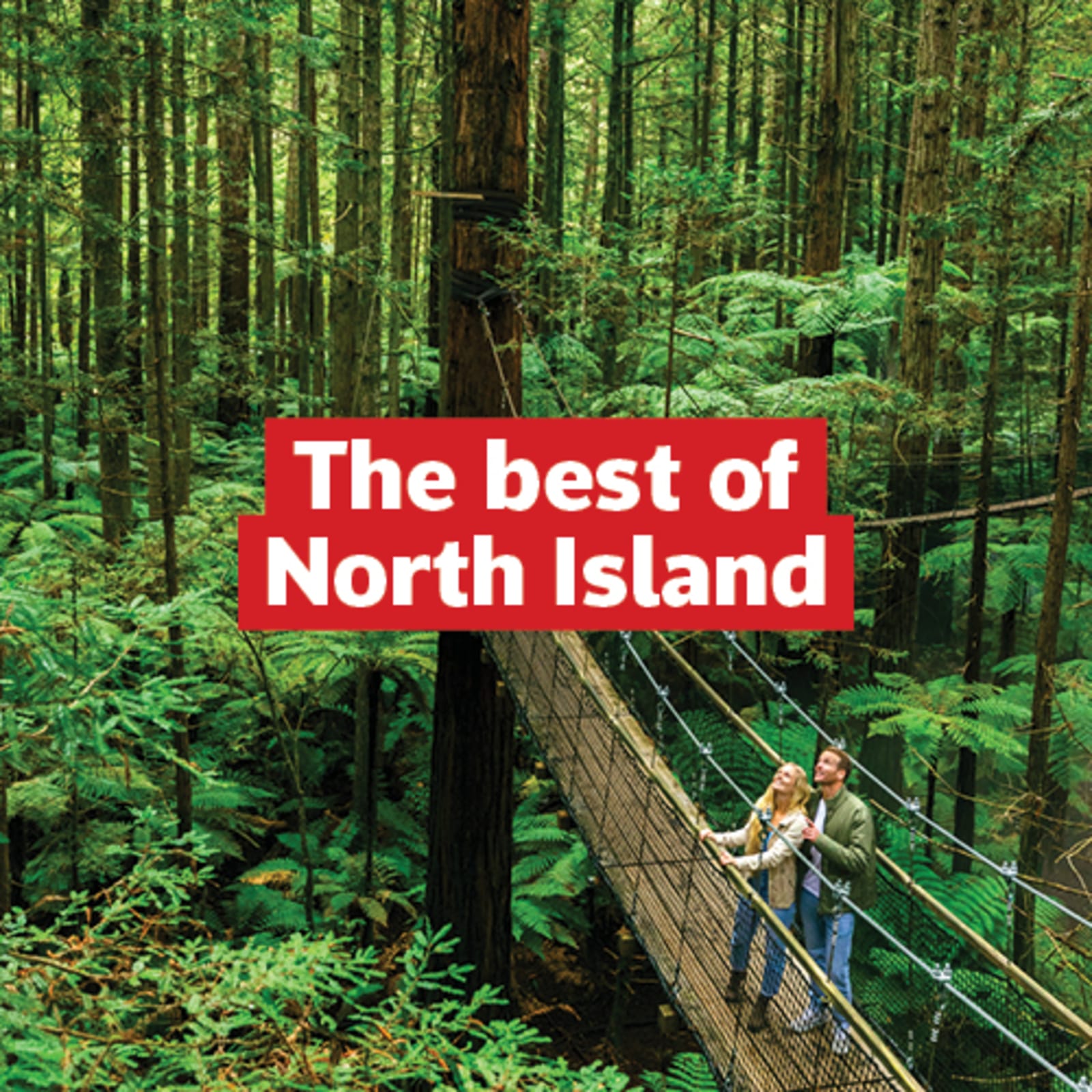 Couple on a rope bridge in a dense, lush green forest in New Zealand