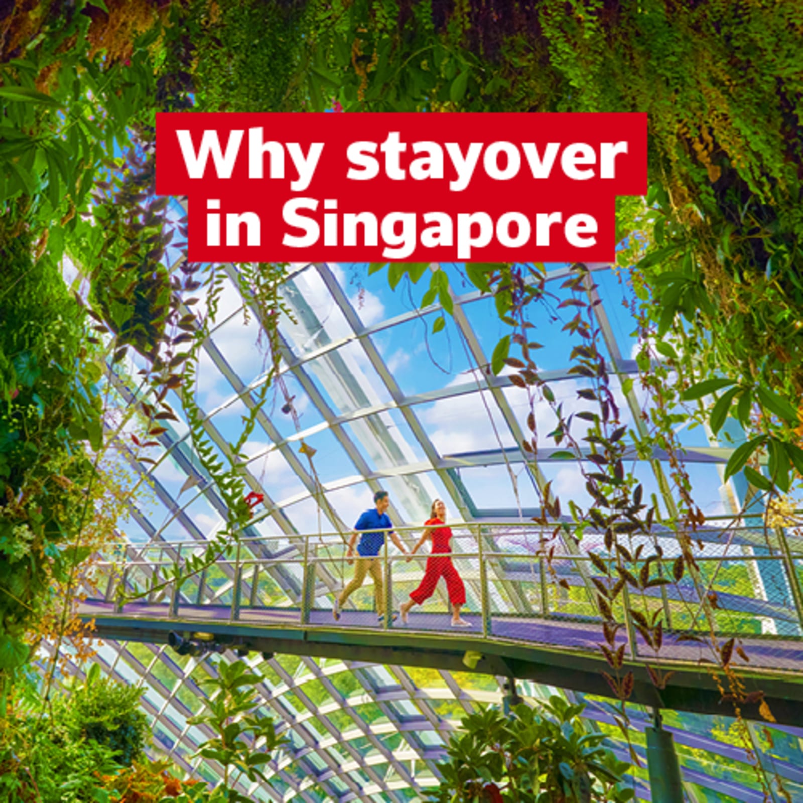 Why stayover in Singapore | Couple walking hand in hand through a glass-covered botanical garden in Singapore