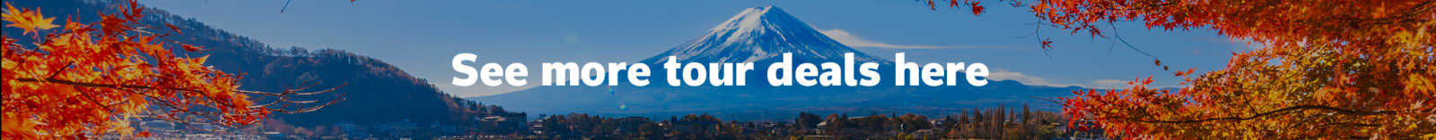 See more tour deals here
