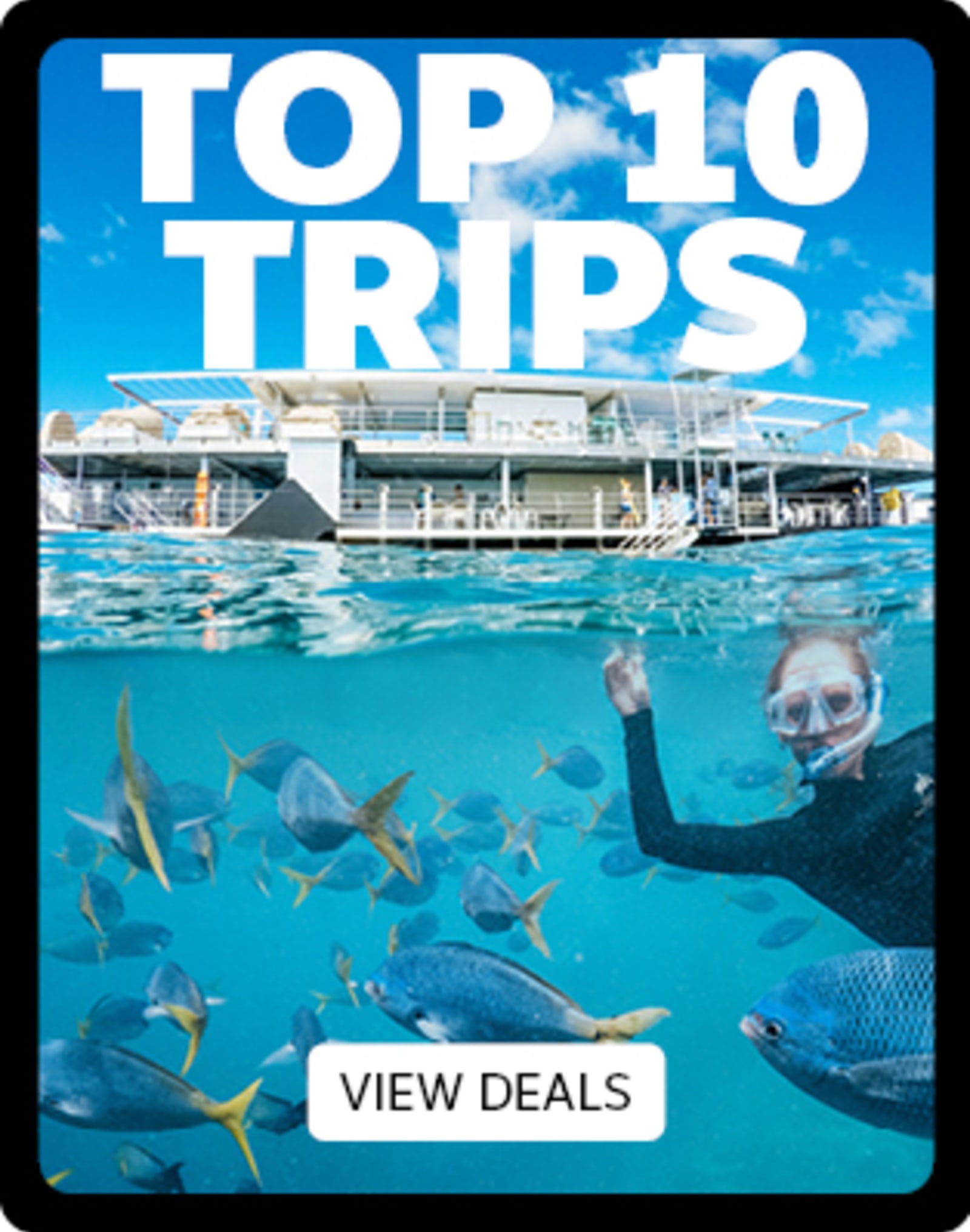Top 10 trips - view deals. Person snorkelling with tropical fish with a pontoon in the background