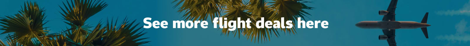See more flight deals here