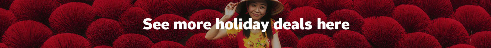 See more holiday deals here