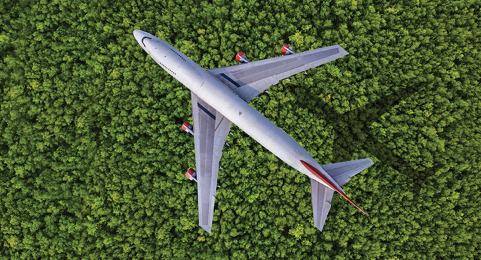 Plane flying over a lush, green jungle