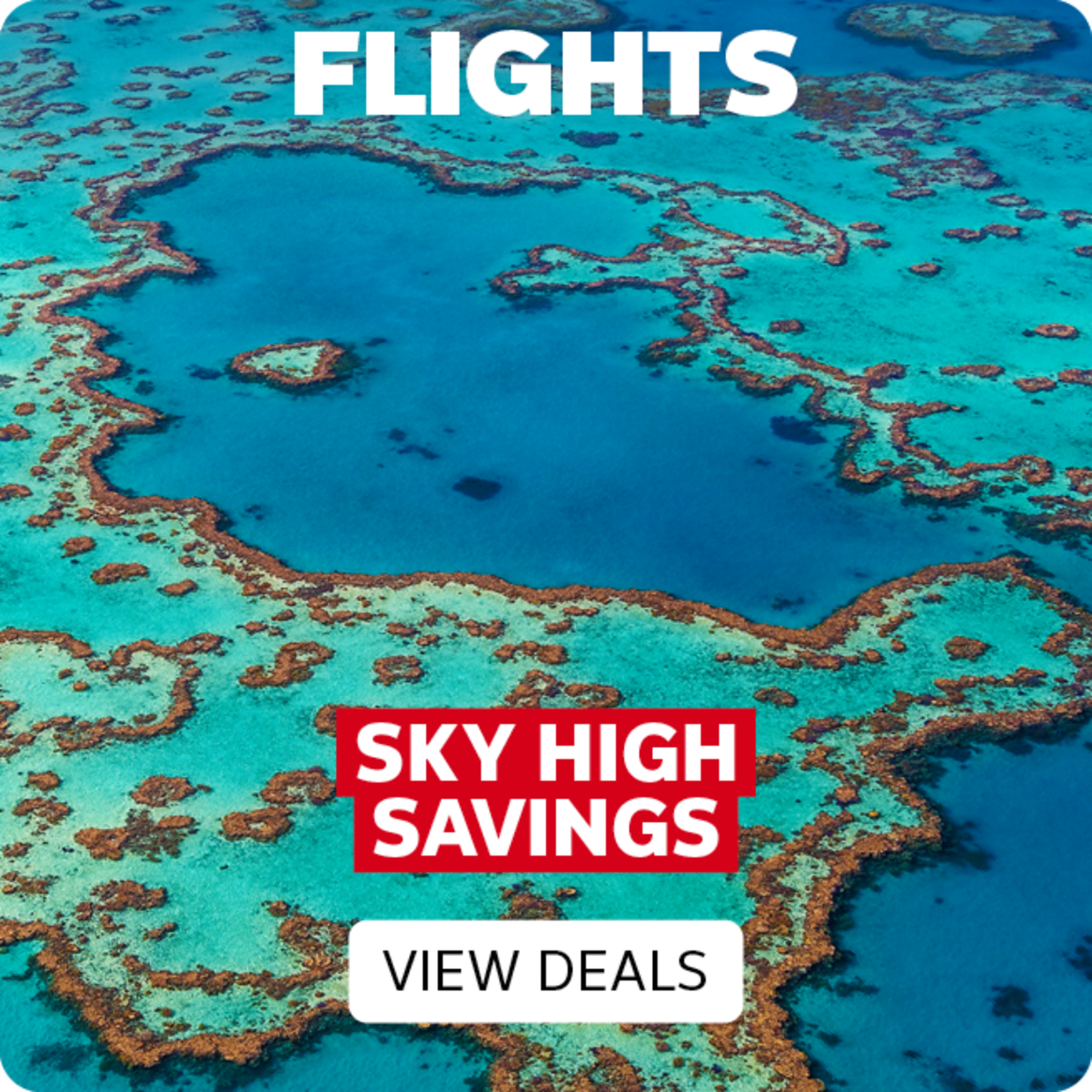 Flights - sky high savings | view deals