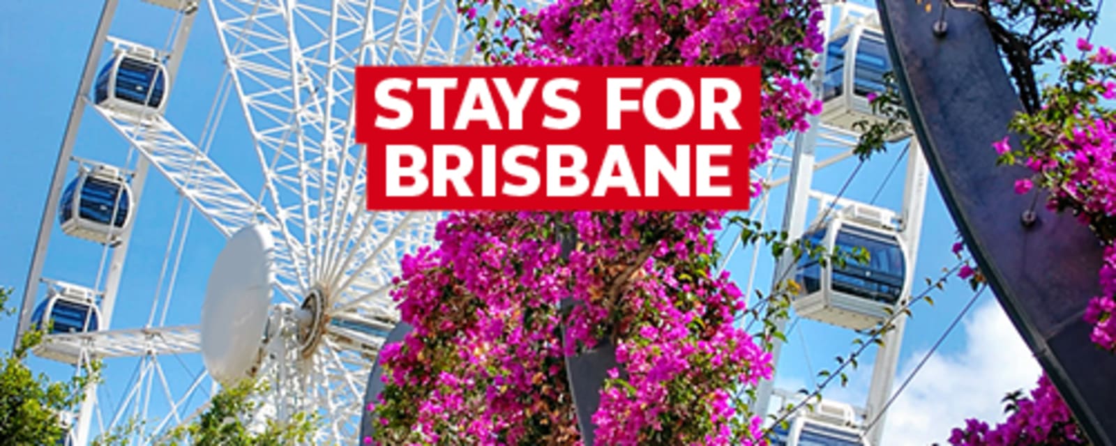 Stays for Brisbane - closeup shot of the Ferris Wheel in Brisbane, framed by pink flowers