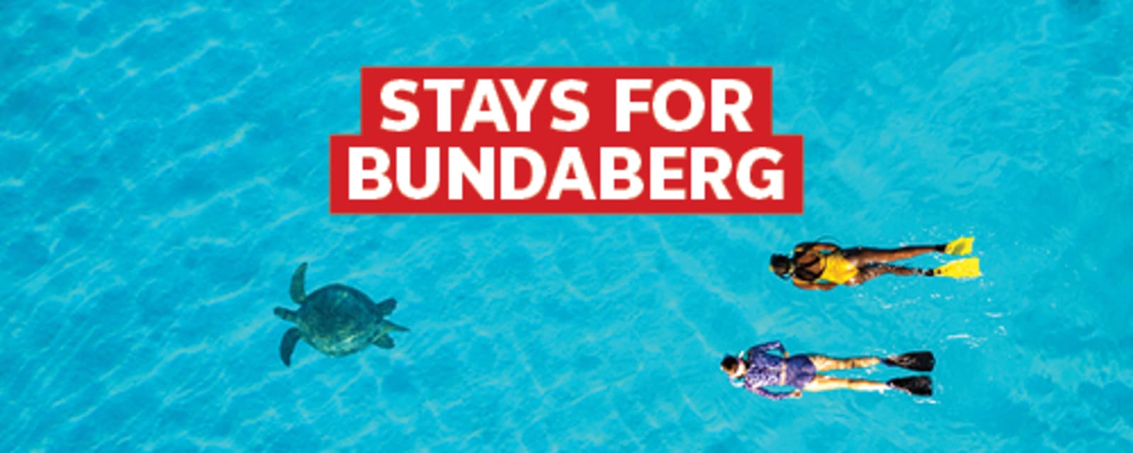 Stays for Bundaberg - top down view of two people scuba diving with a Green Sea Turtle