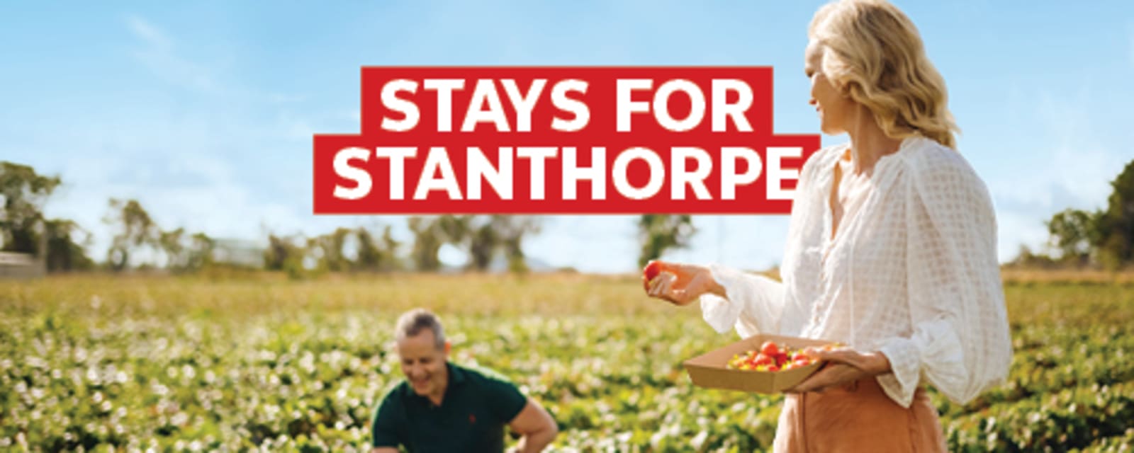 Stays for Stanthorpe | Two people plucking strawberries in a field