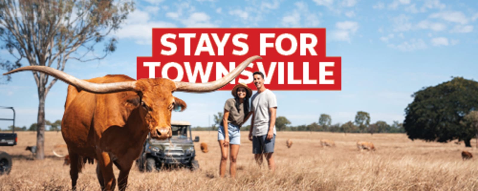 Stays for Townsville - two people in a field, looking at a cow with long horns