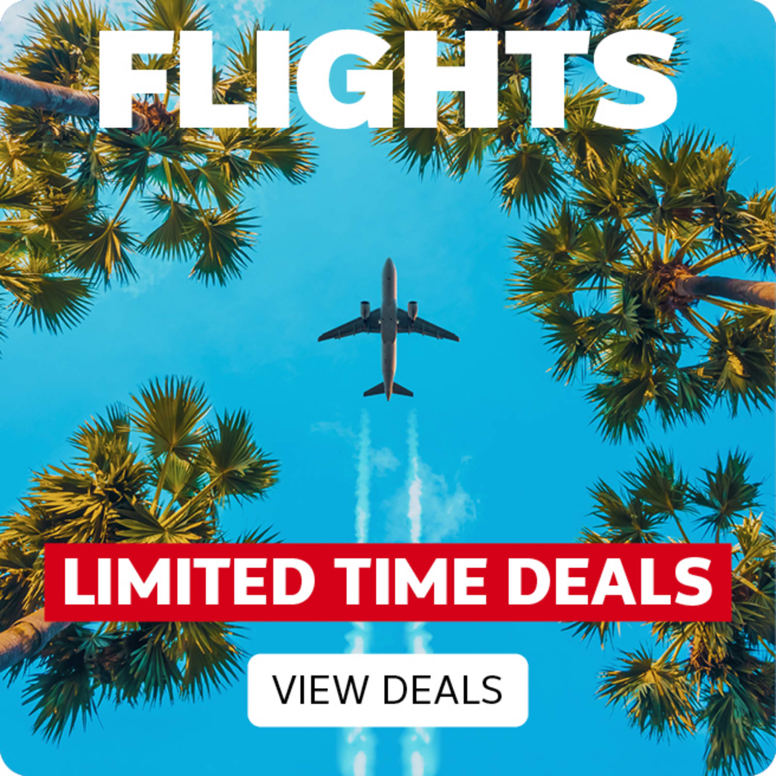 Flights - limited time deals | view deals. Plane flying overhead framed by palm trees