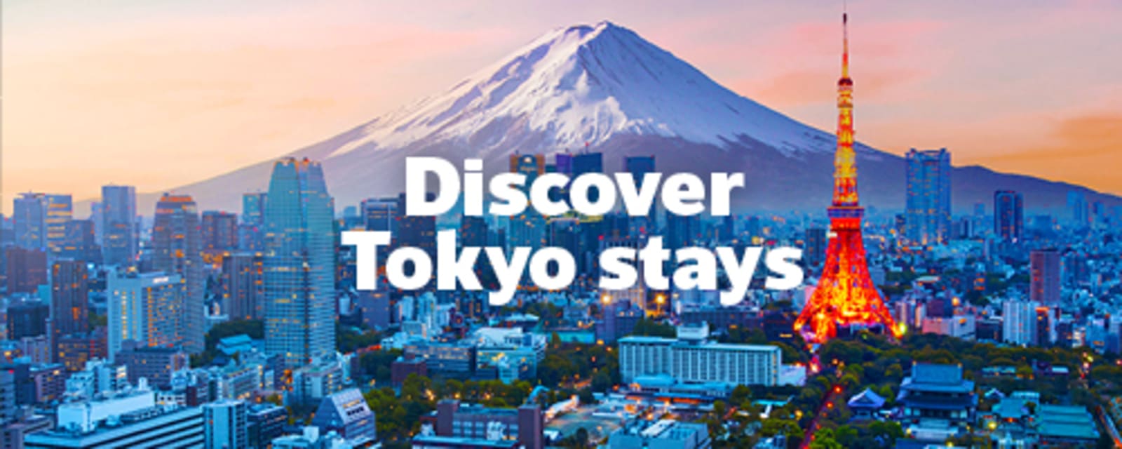 Mount Fuji and Tokyo tower in the sunset