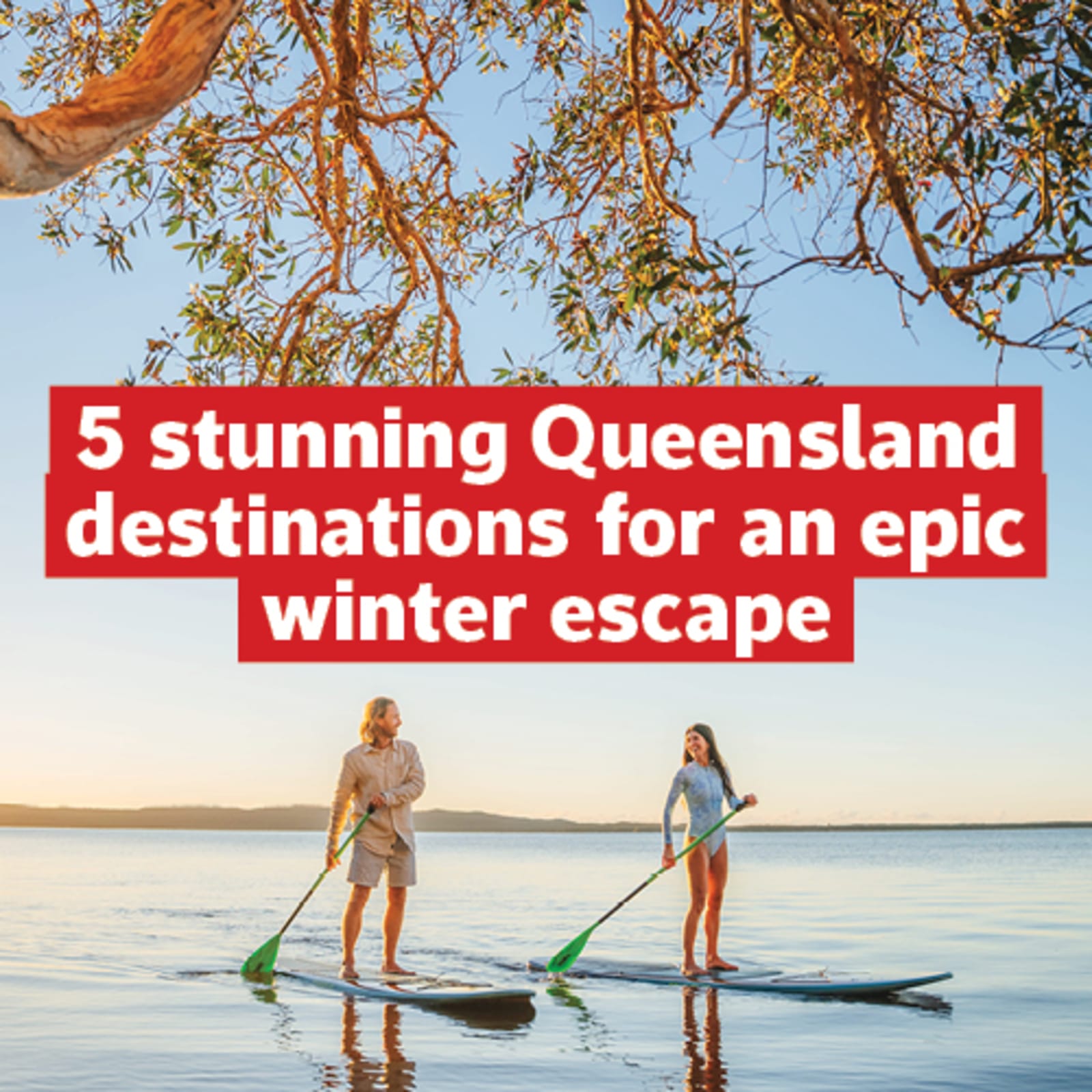Two people on stand up paddleboards framed by low hanging branches featuring 5 stunning Queensland destinations for an epic winter escape