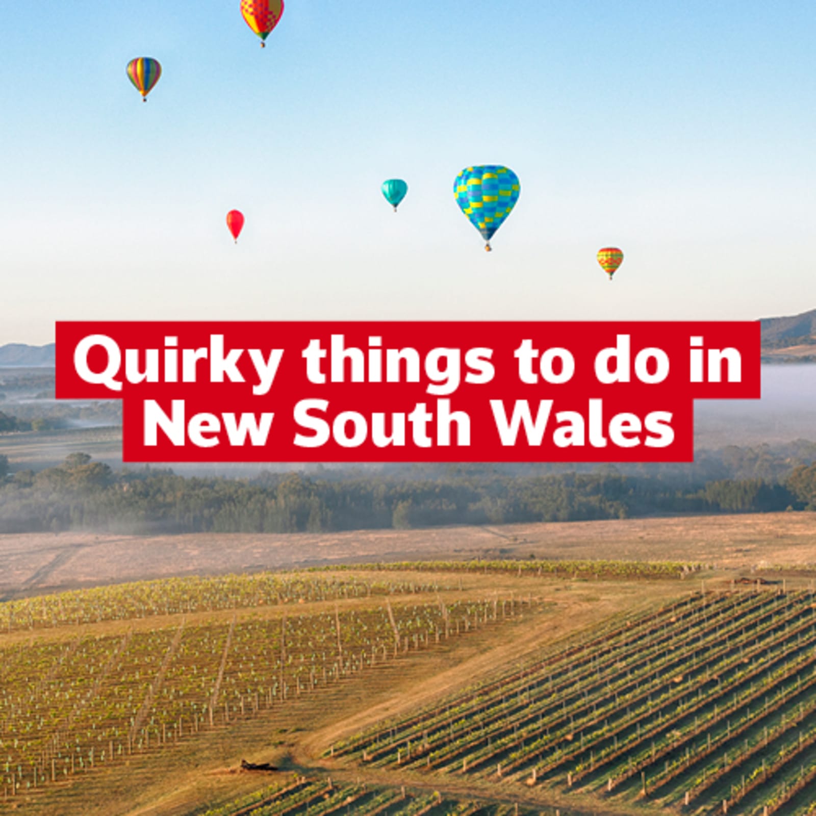 Colourful hot air balloons flying over a wine vineyard featuring quirky things to do in New South Wales