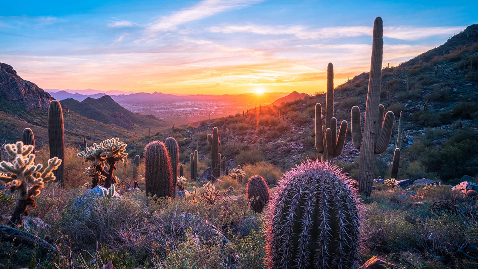 A beautiful sunrise view over the desert of Arizona with cacti in the foreground