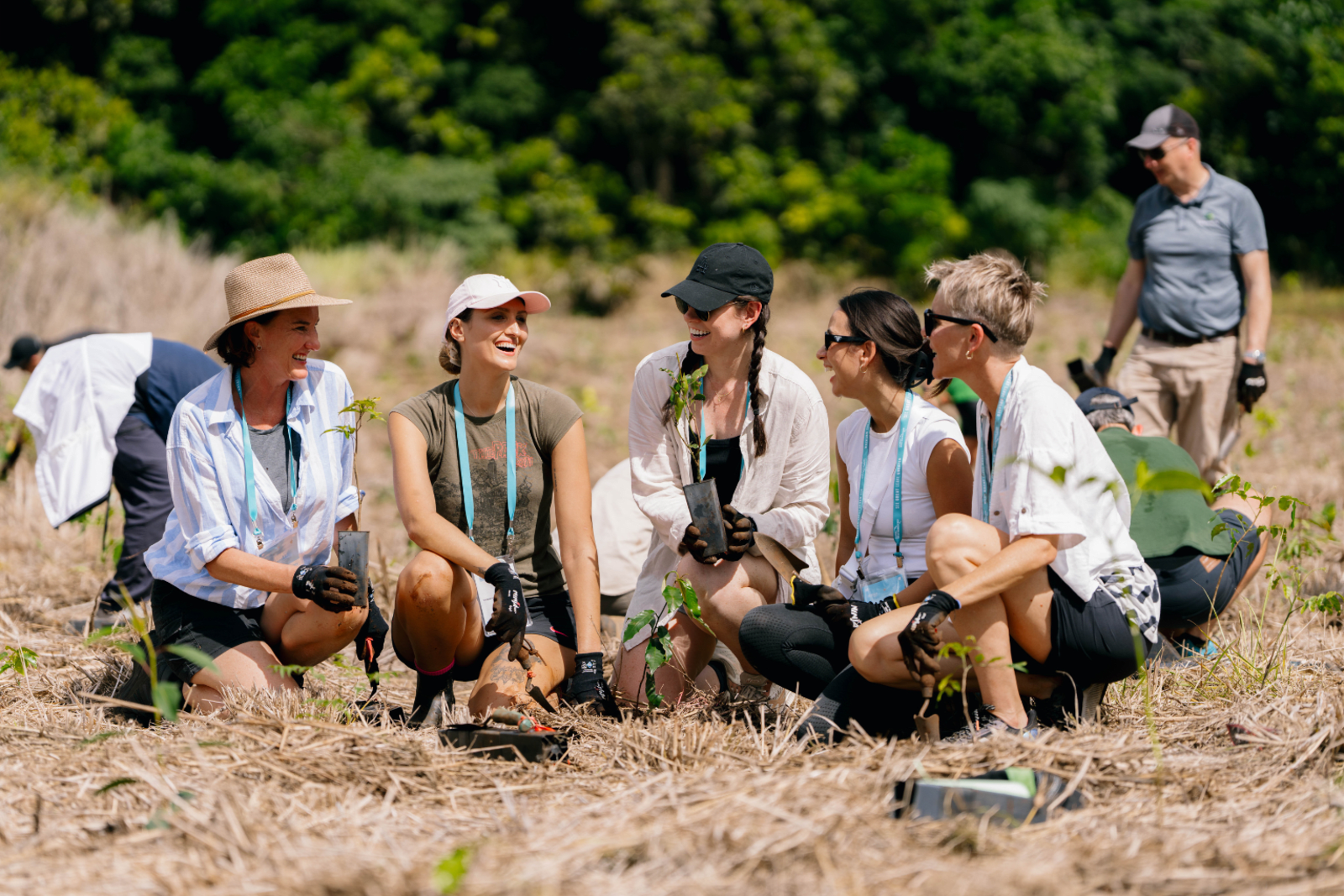 People planting trees for Reforest.