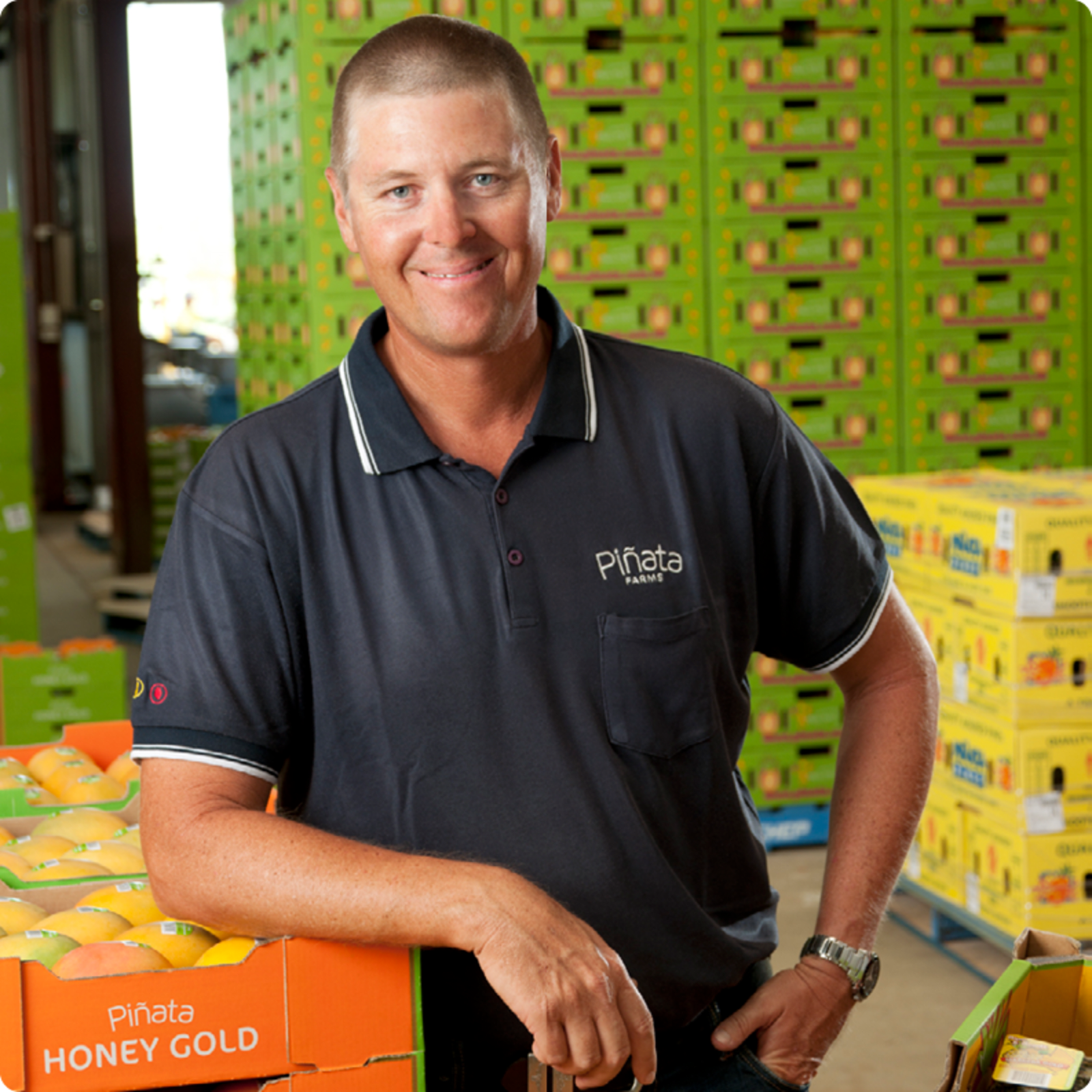 Man resting his arm on a crate of mangoes, with hundreds of boxes of mangoes in the background