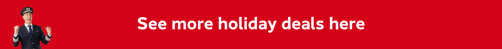 See more holiday deals here