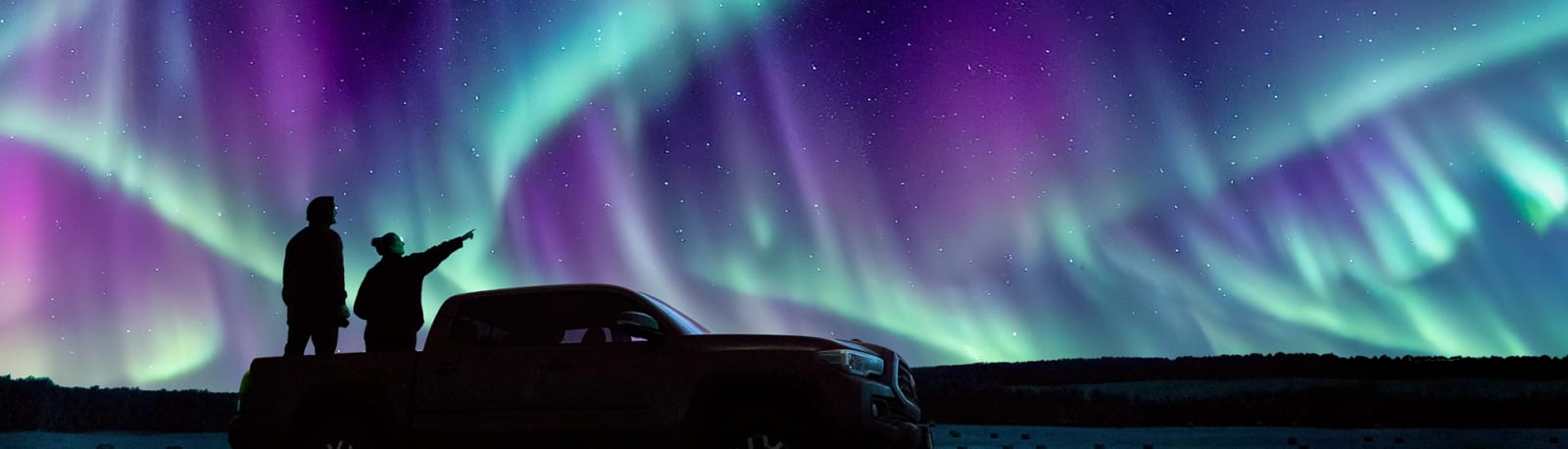 Nature & Wildlife hero background