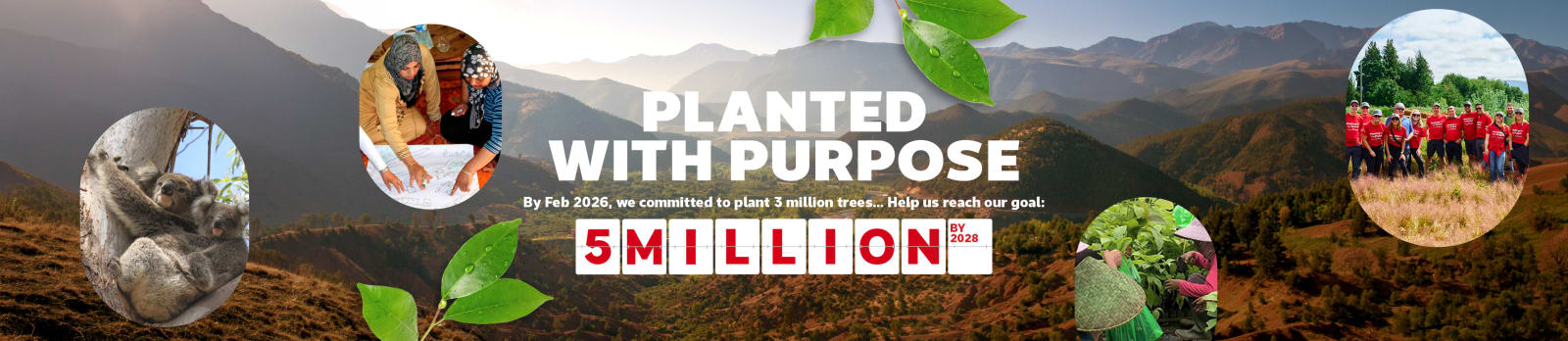planted with purpose