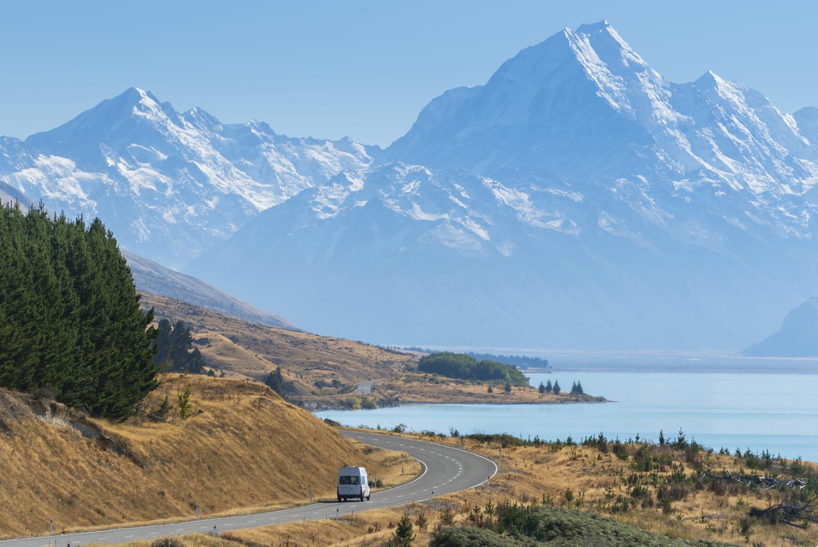 nz