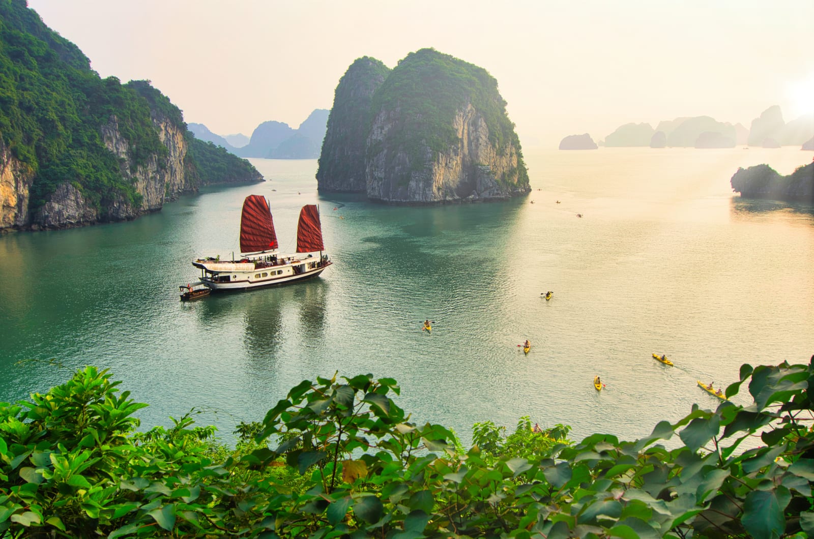 viet