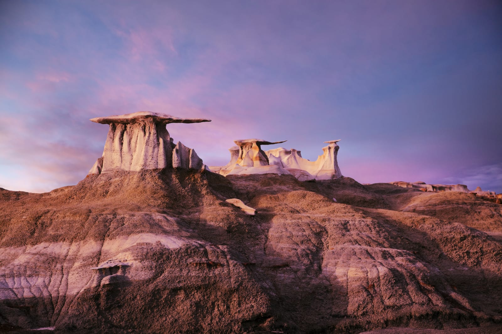 new mexico
