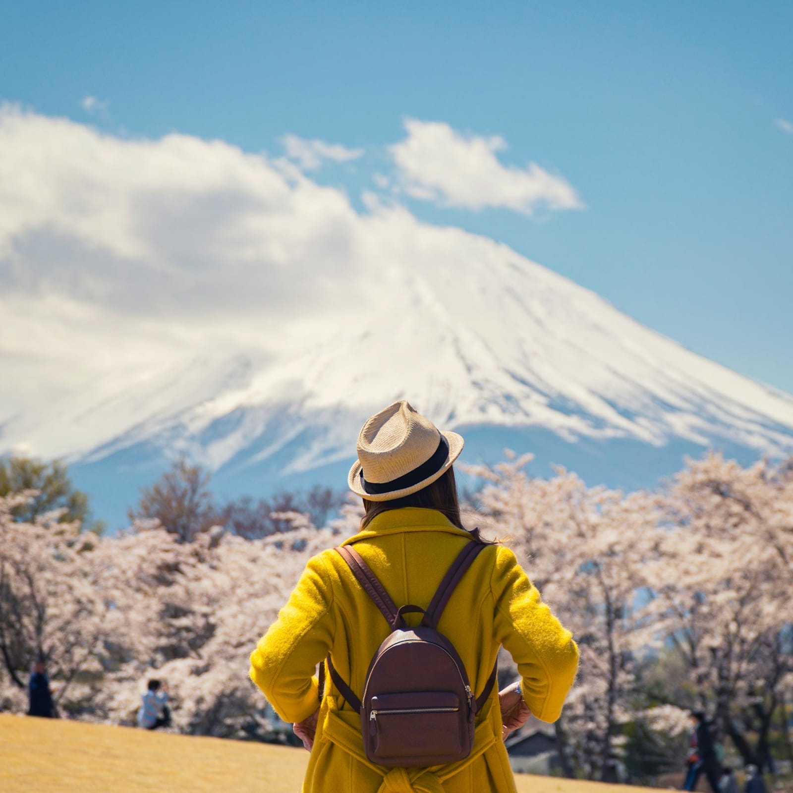 Lady looking at snow-capped Mt Fuji with cherry blossoms in the background