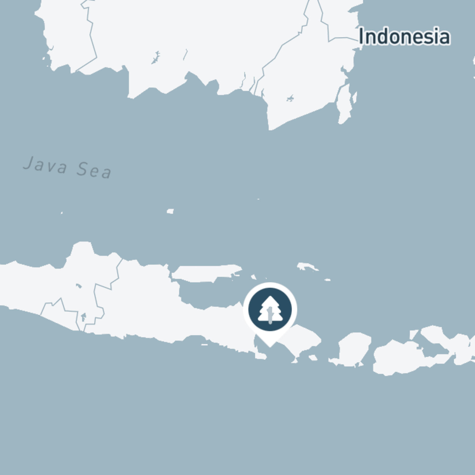 Indonesia Reforestation Nursery