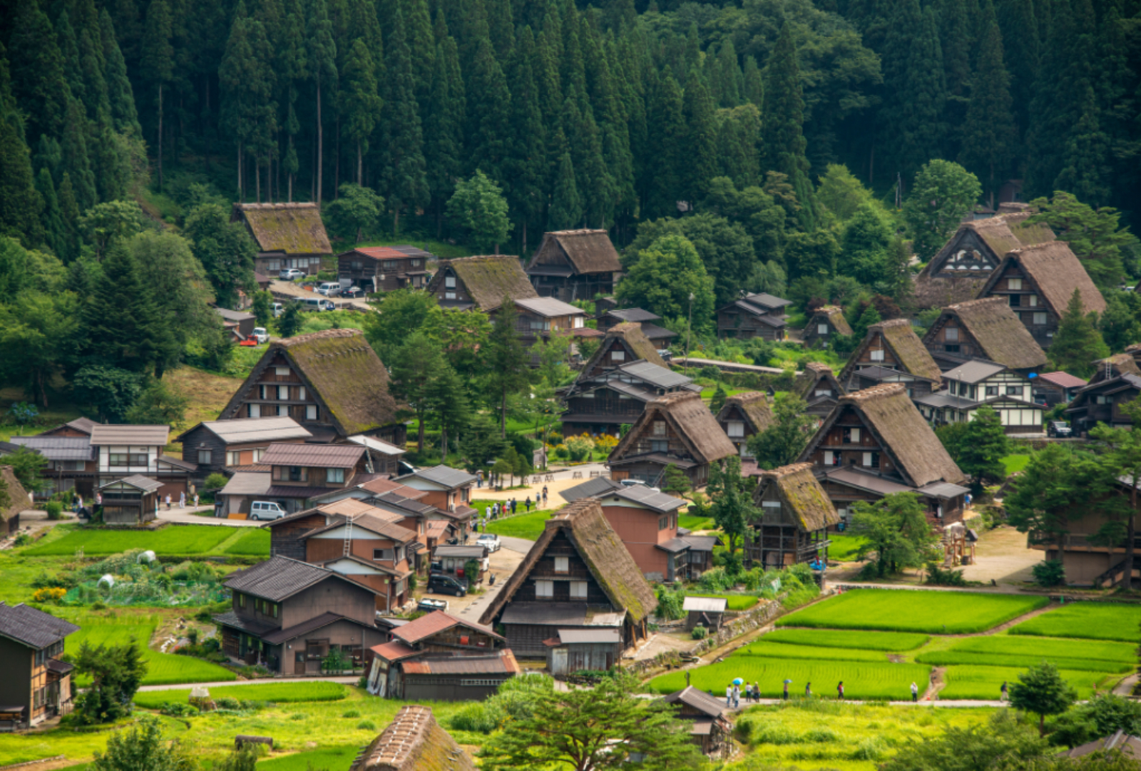 Aerial view of Shirakawa-go village in Japan, with traditional gassho-zukuri thatched-roof farmhouses surrounded by rice fields and forested mountains