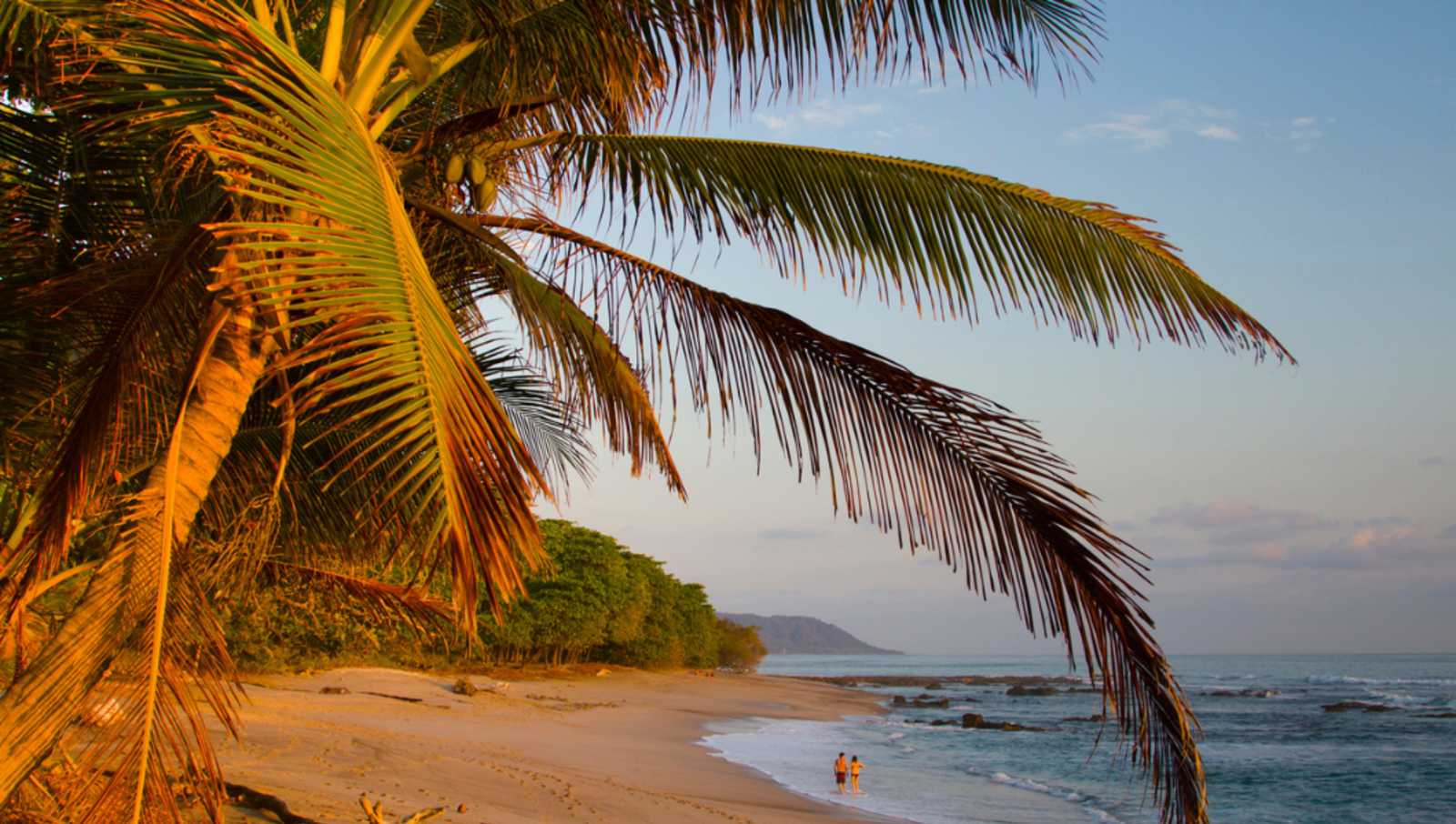 Sunset on Santa Teresa beach with a tree falling closely in front of the camera