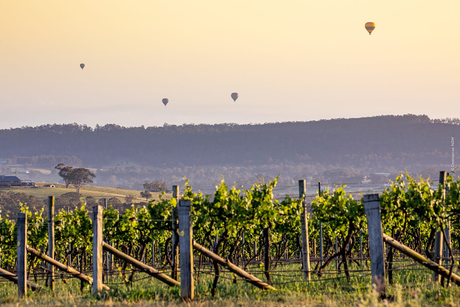 Hunter Valley