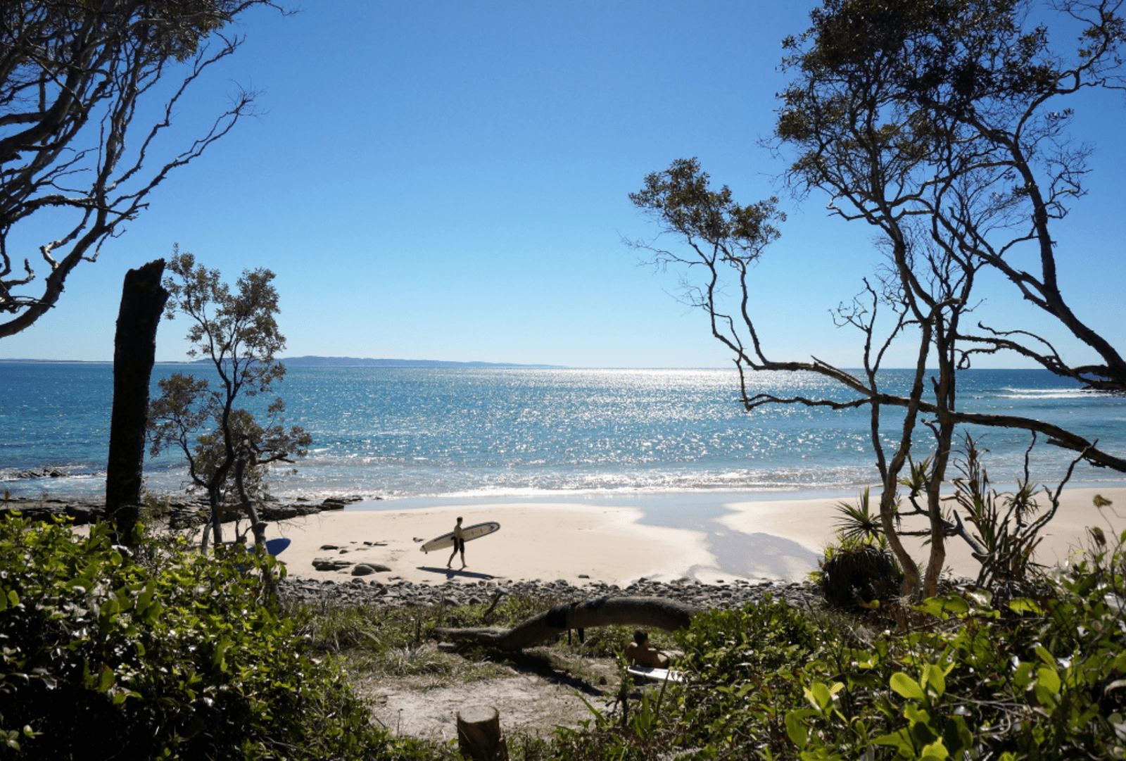 Surfer carrying a longboard along a white sand beach at Noosa Heads framed by coastal bushland with sparkling blue ocean stretching to the horizon