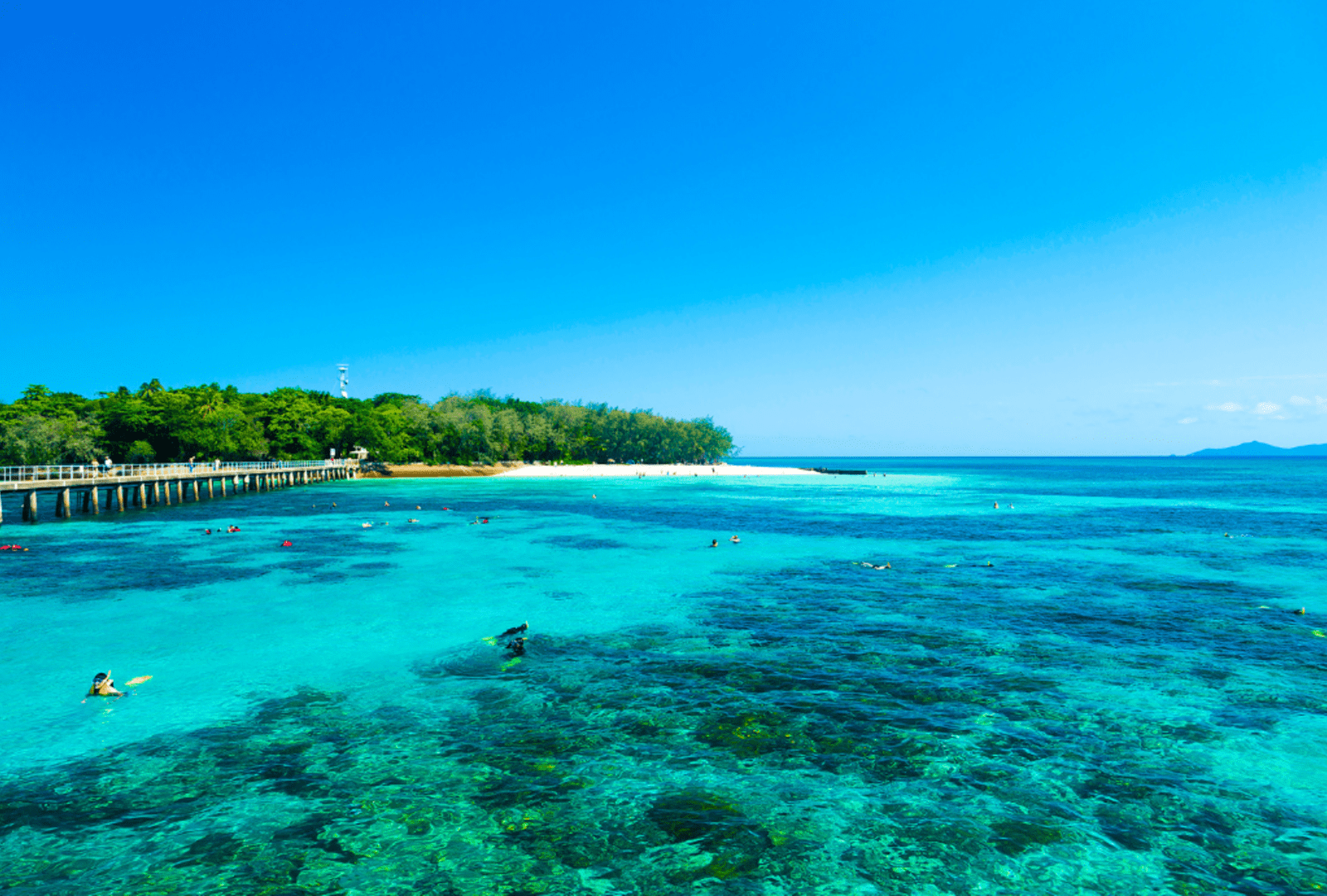 Snorkellers exploring the crystal-clear turquoise waters of the Great Barrier Reef off a tropical island with a white sand beach and timber jetty
