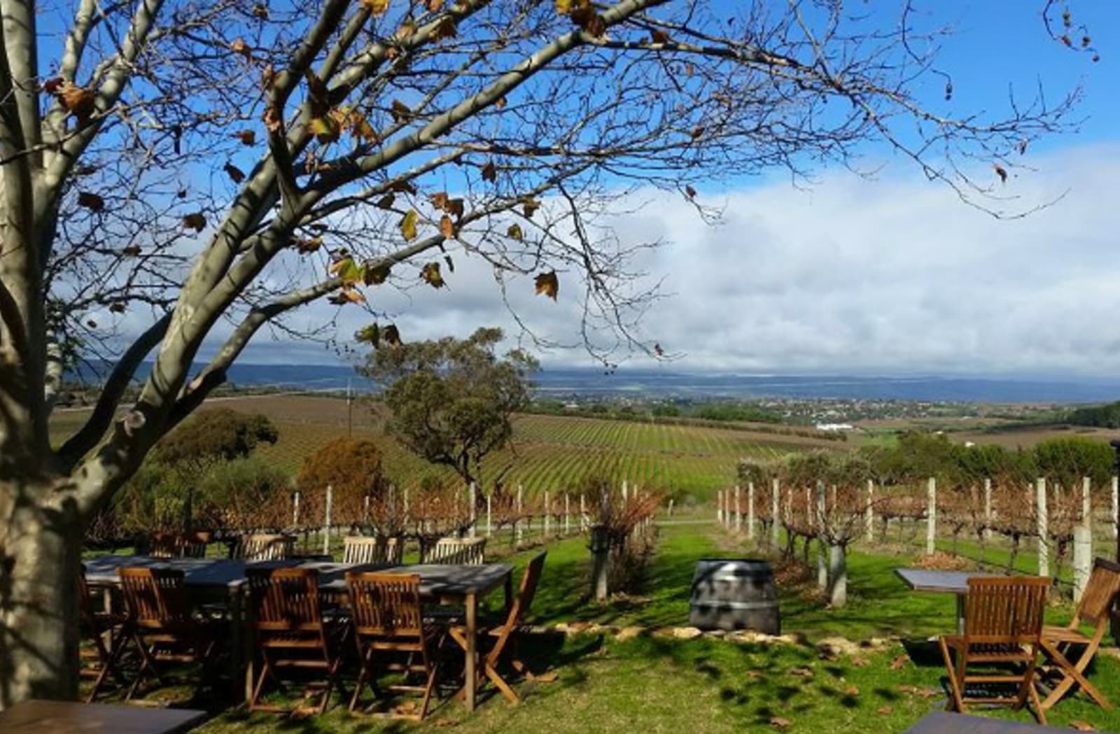 Outdoor seating under a tree overlooking McLaren Vale