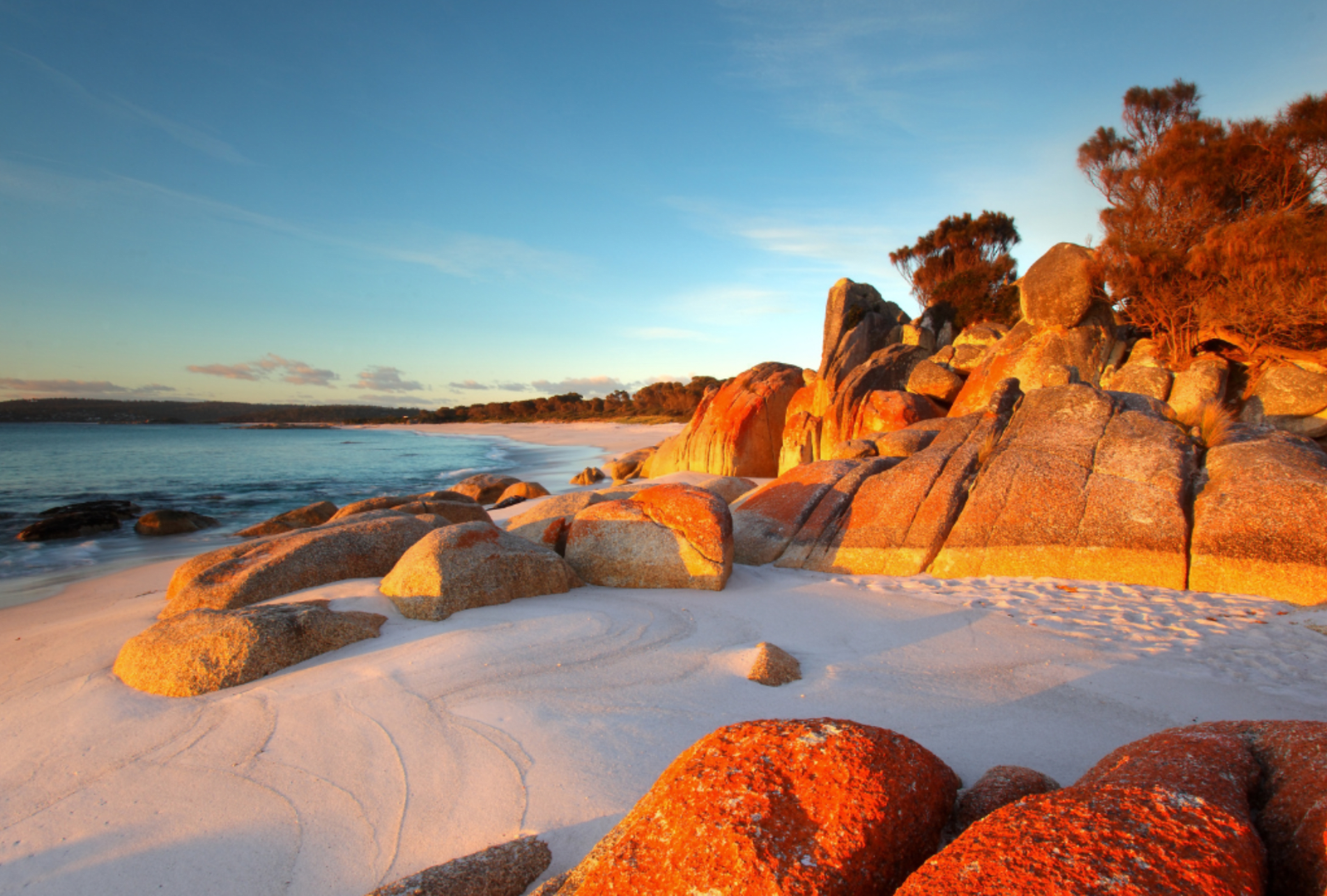 Red lichen on rocks at Bay of Fires with clean sandy beach and clear sea water in background
