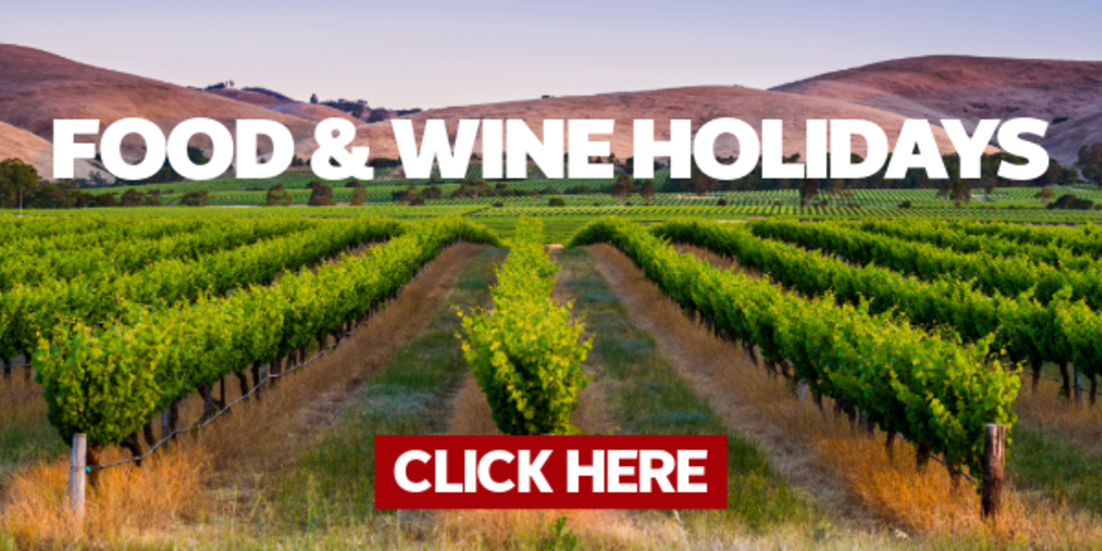 Food & Wine Holidays