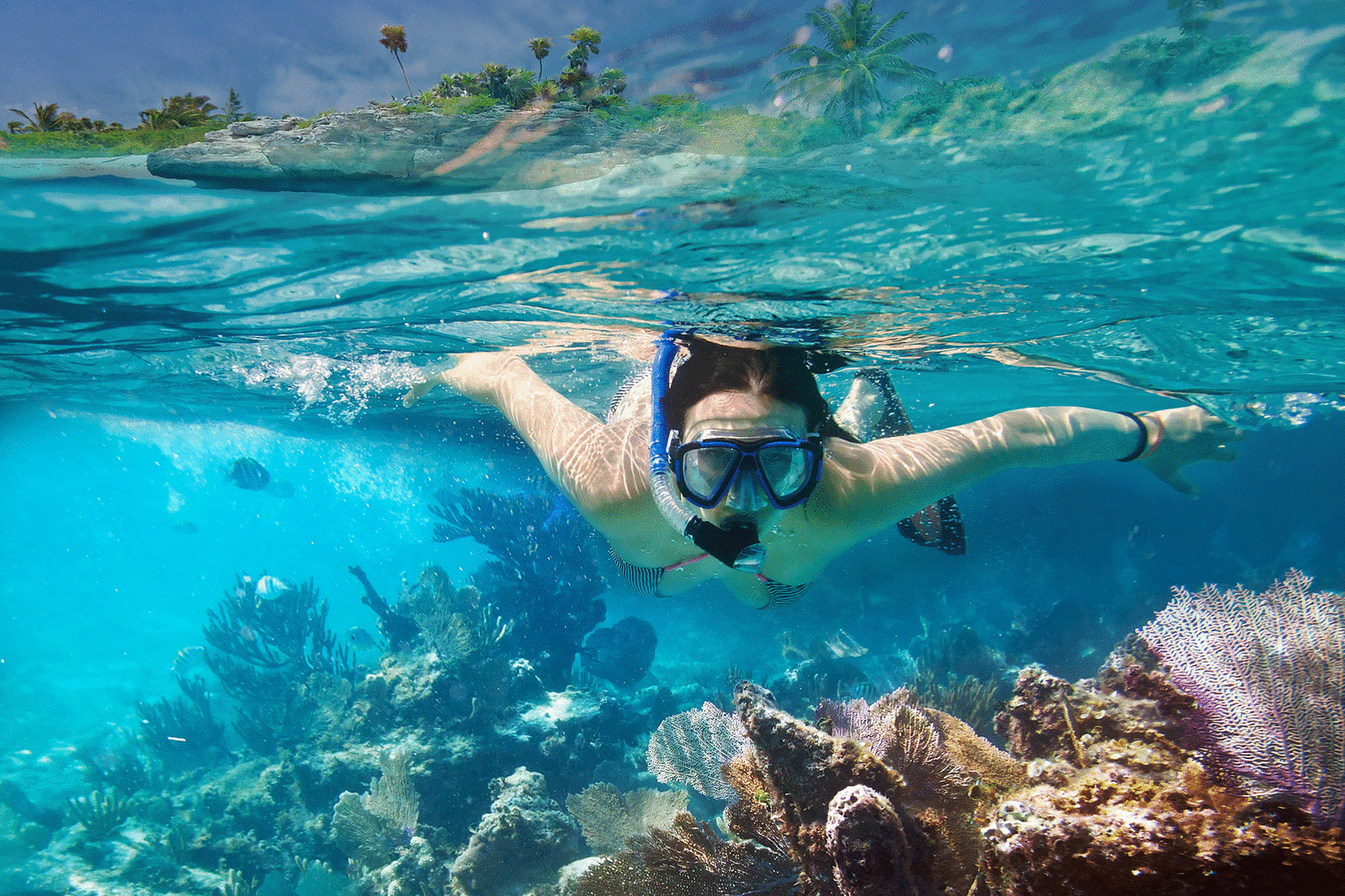 Snorkelling in Caribbean