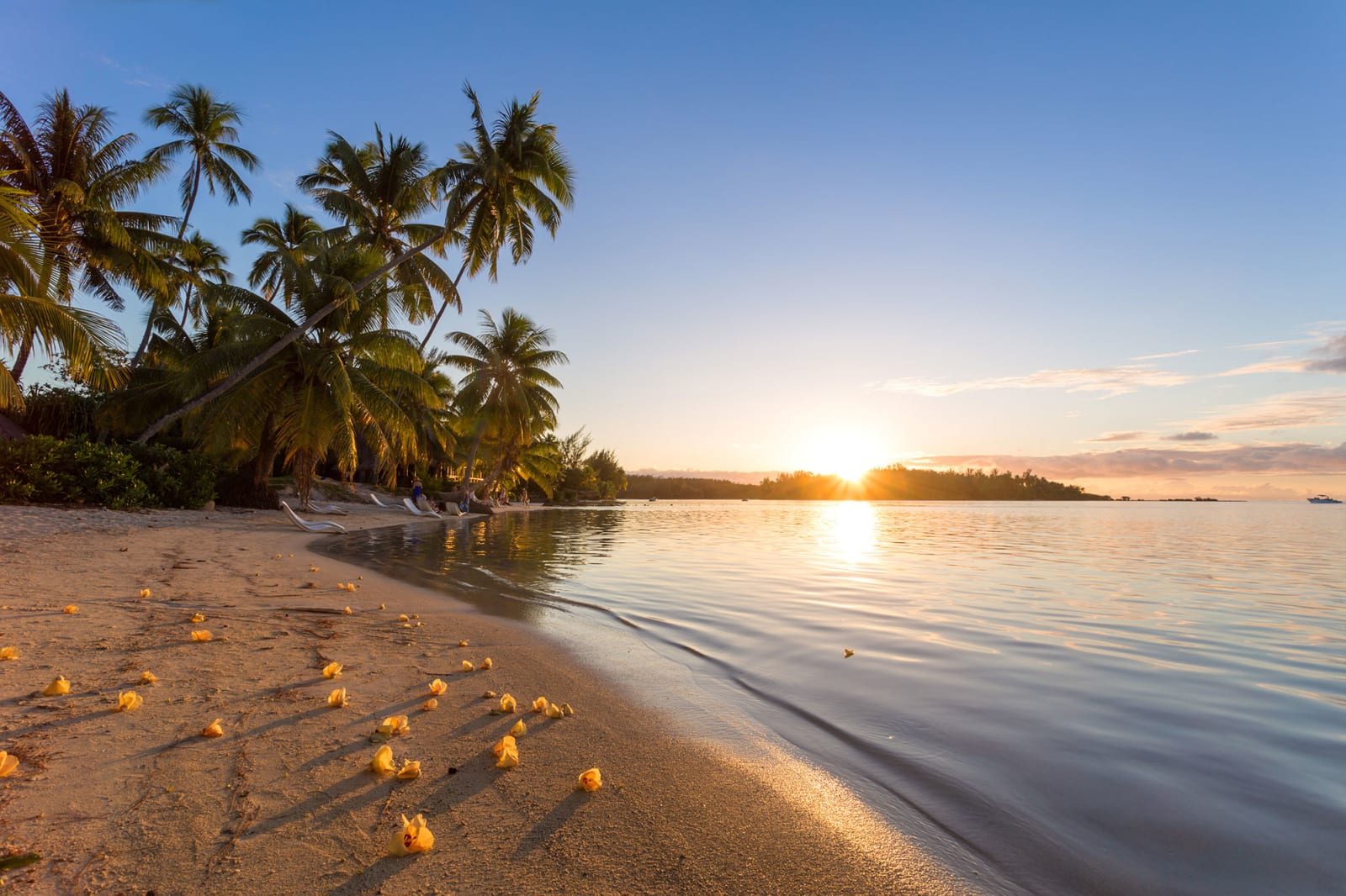 Tropical beach with flowers, Moorea, Tahiti