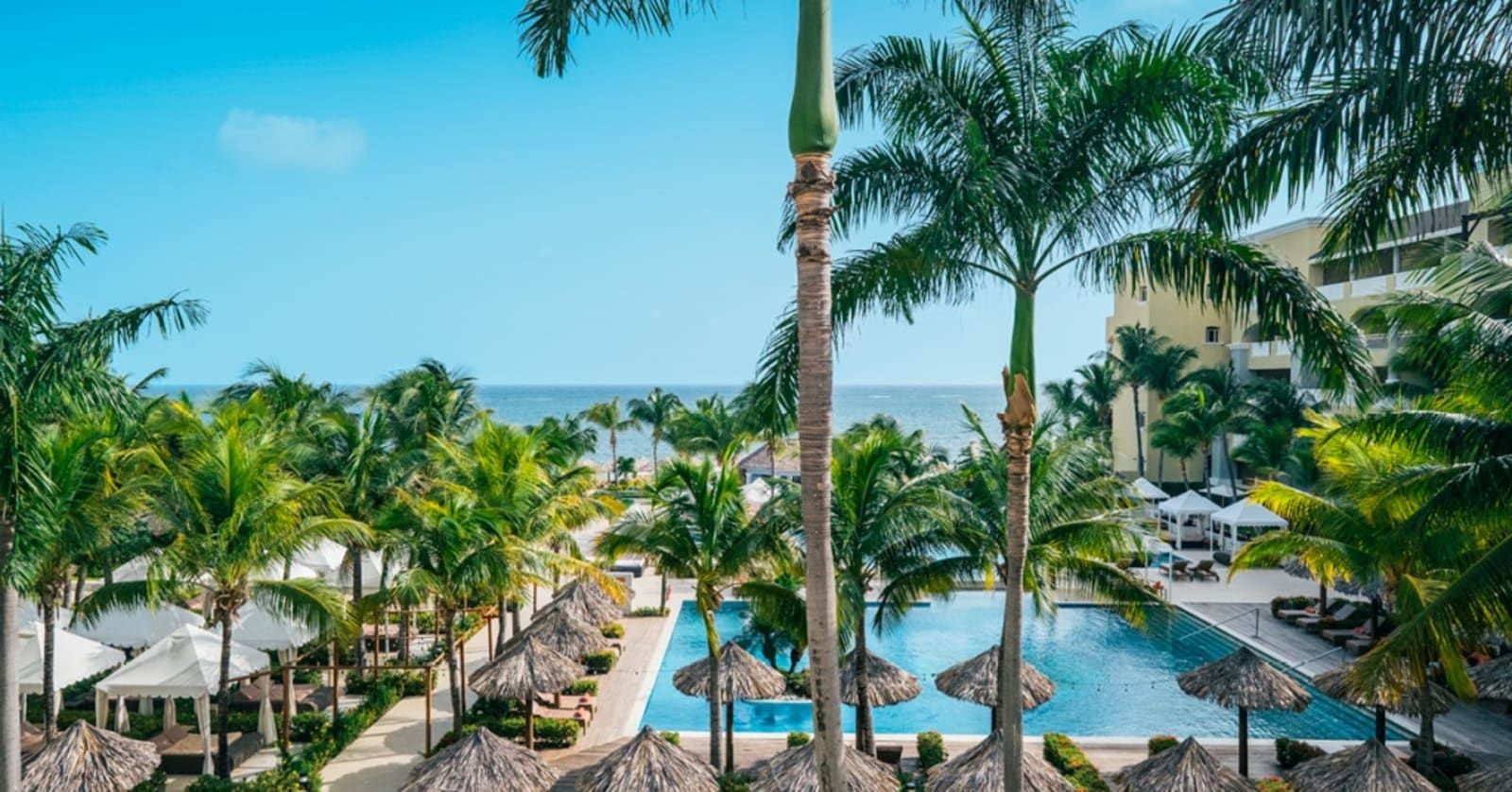 Palm trees surrounding a beachside hotel pool