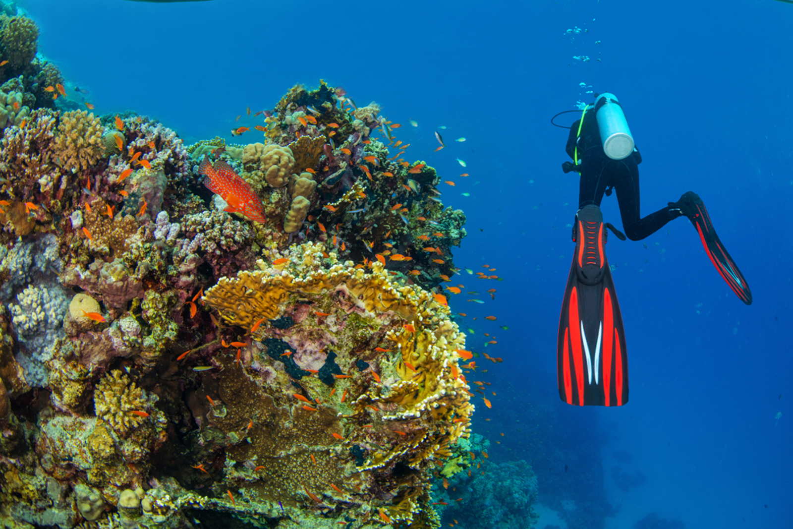 Seychelles 5 Nights 6 days - Image 3