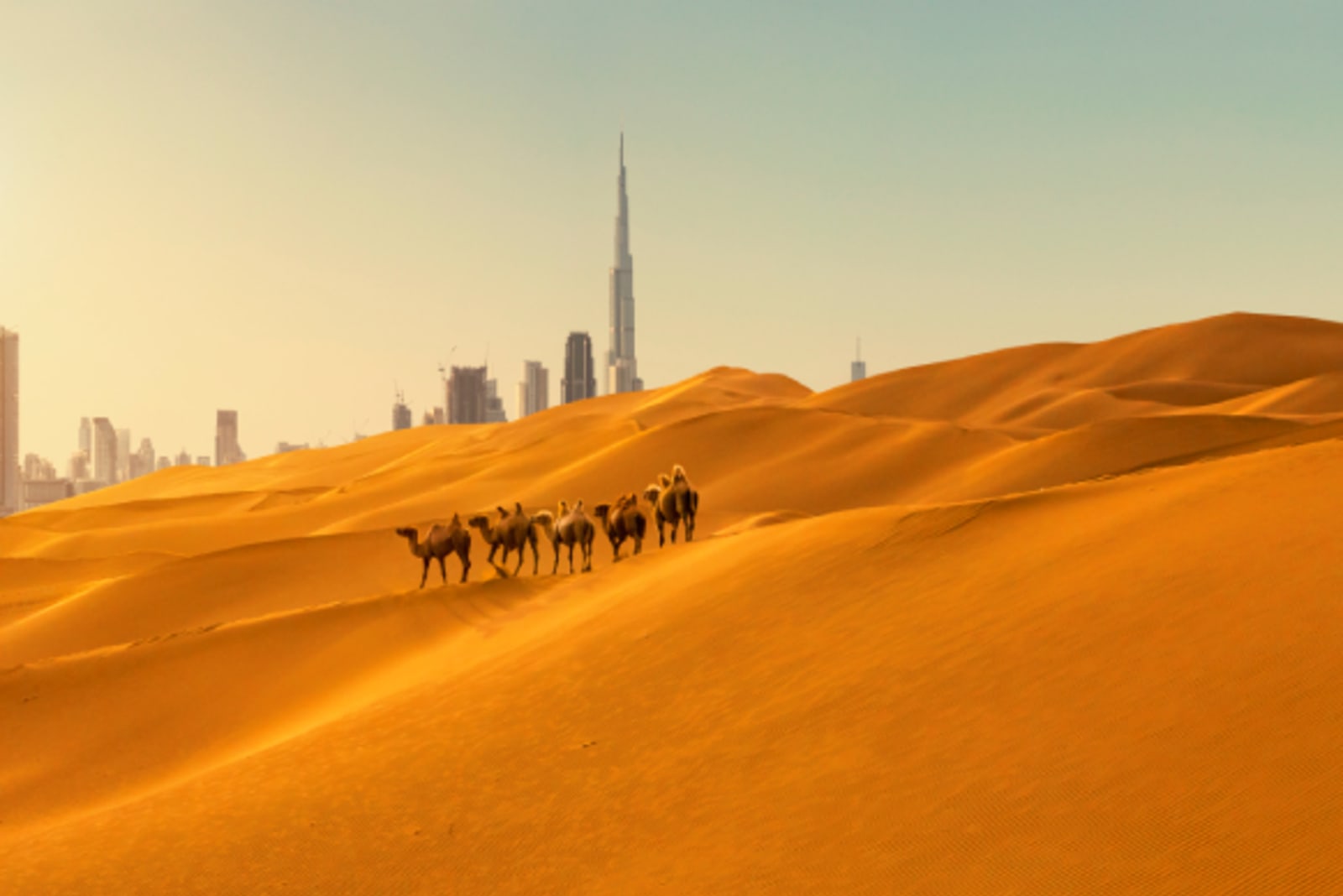 Dubai sand dunes