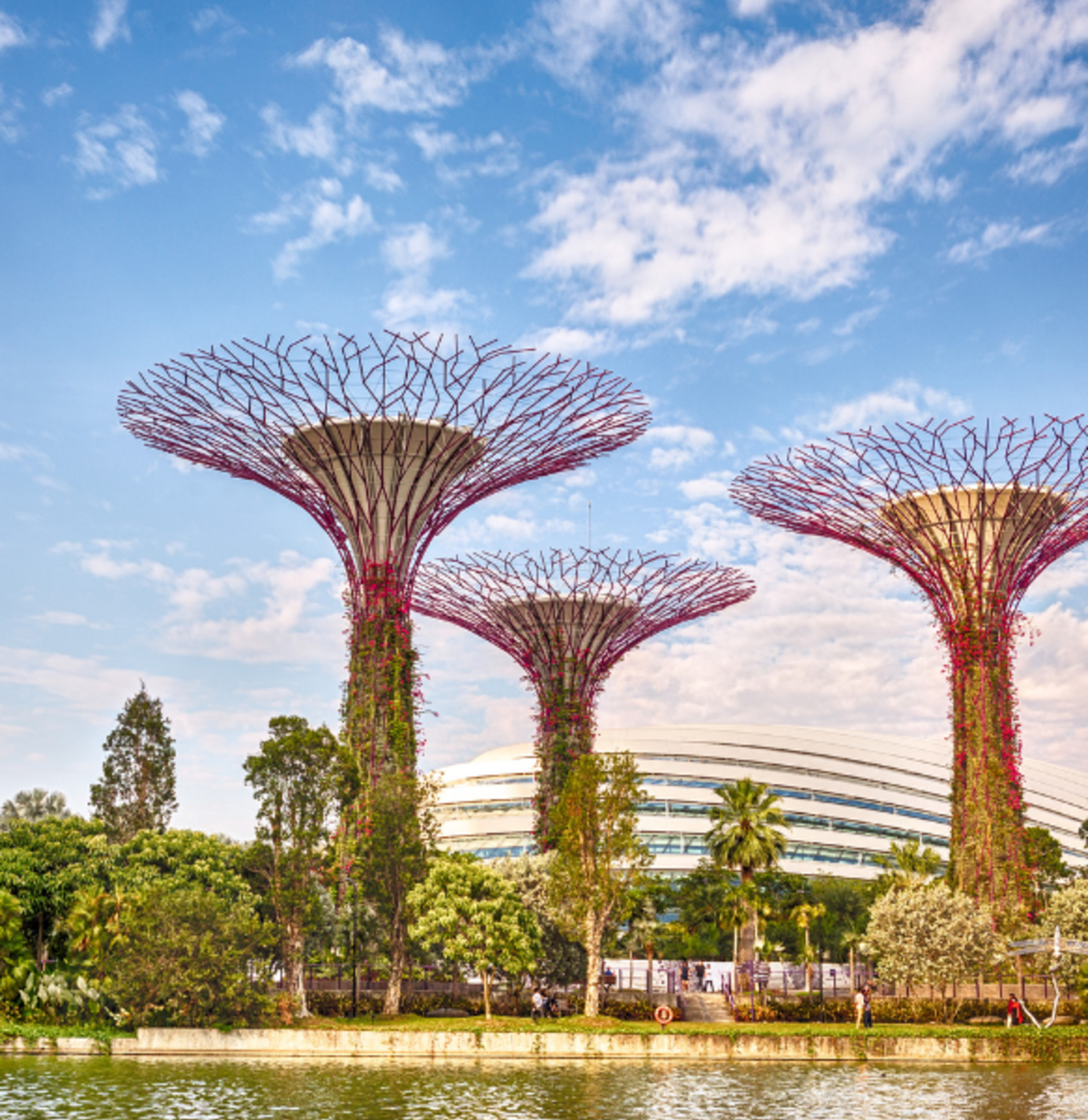 Gardens by the Bay in Singapore on a clear day