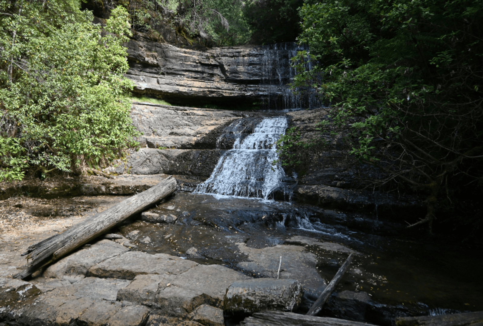 Lady Barron Creek waterfall, Tasmania