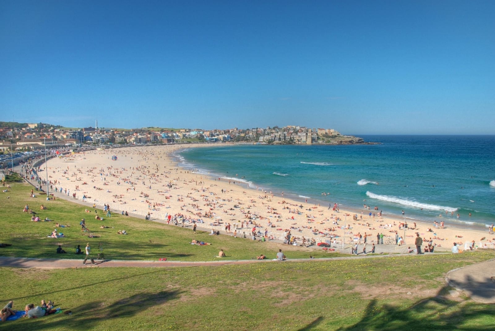 Bondi Beach