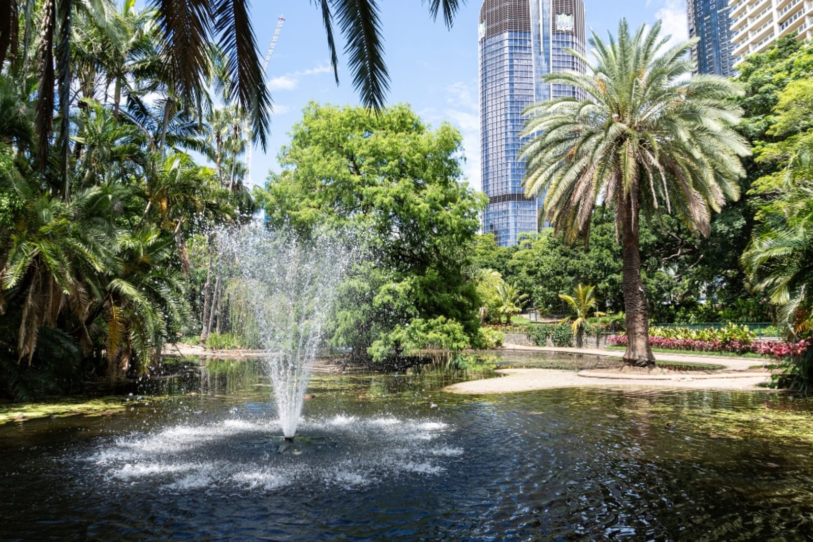 Brisbane Botanic Gardens