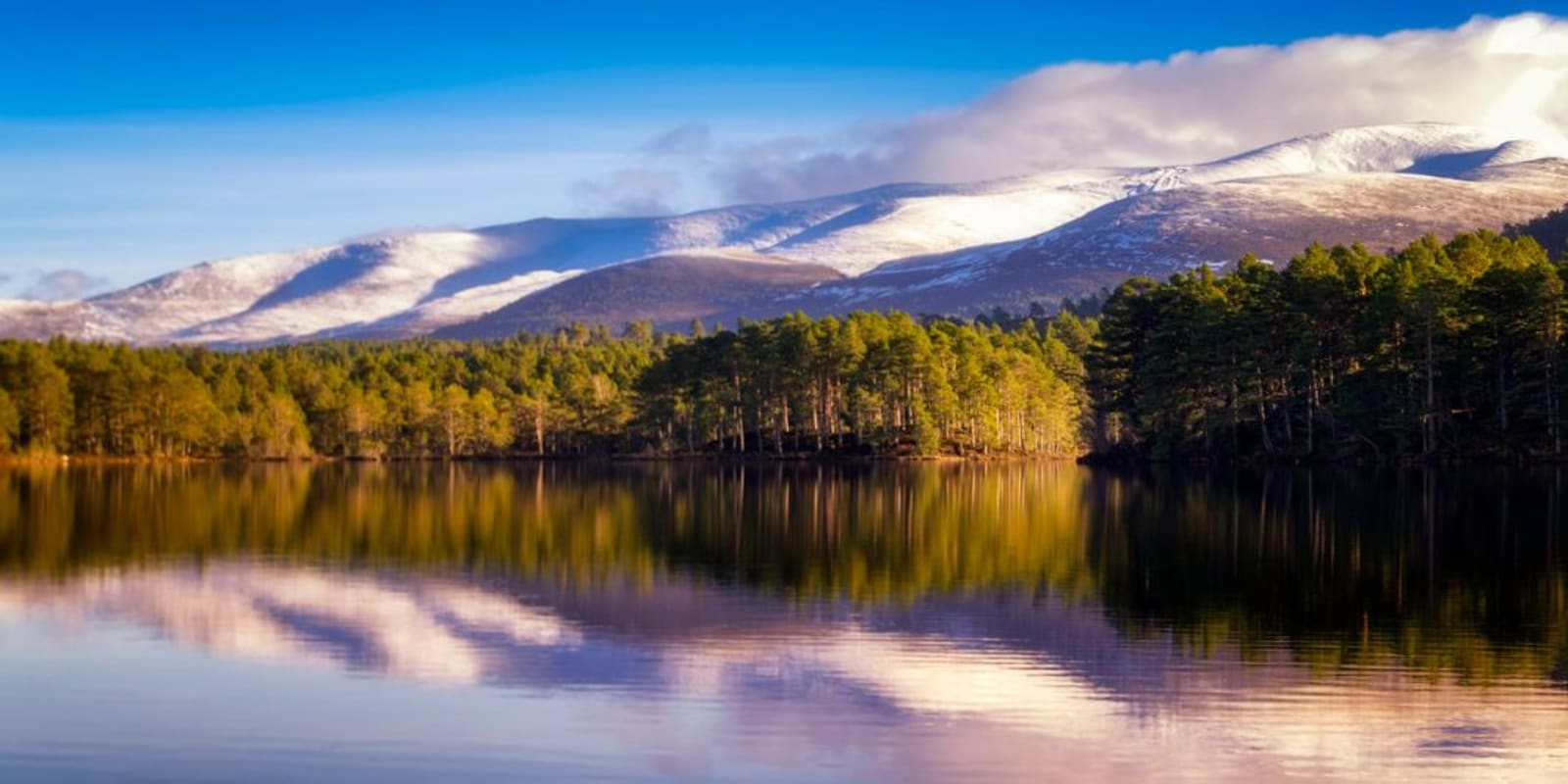 A lake with green trees on the other side and snowcapped mountains in the distance