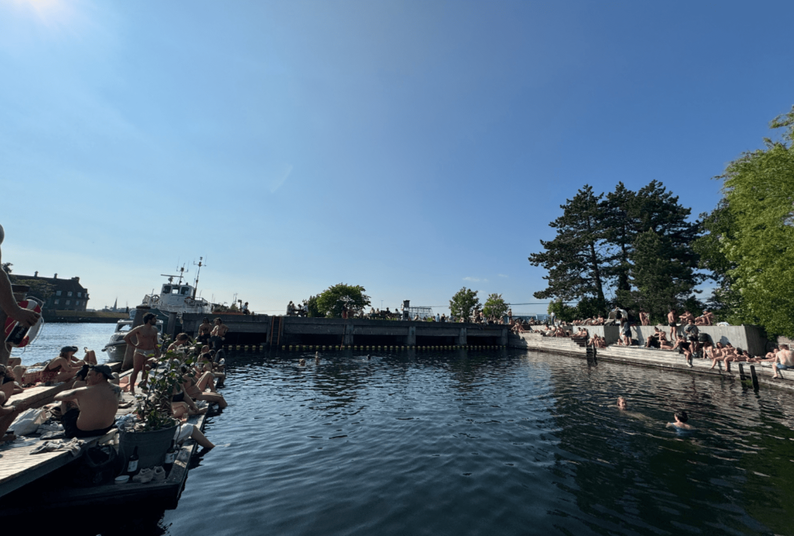 Swimming by the dock on a summer's day in Copenhagen