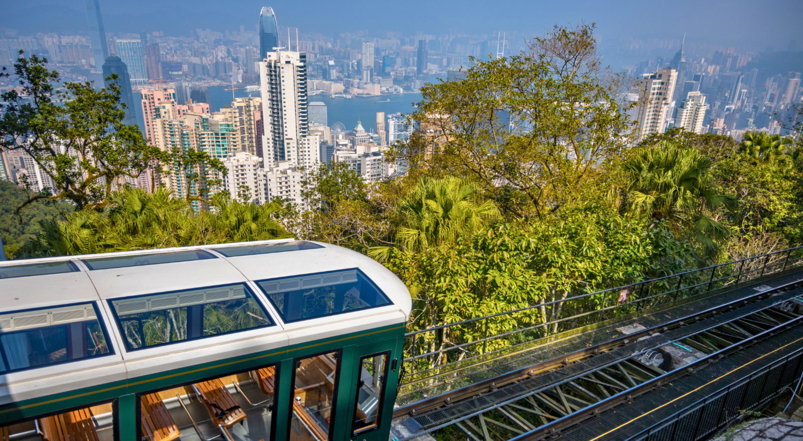 A cable car hovers among trees above the Hong Kong skyline