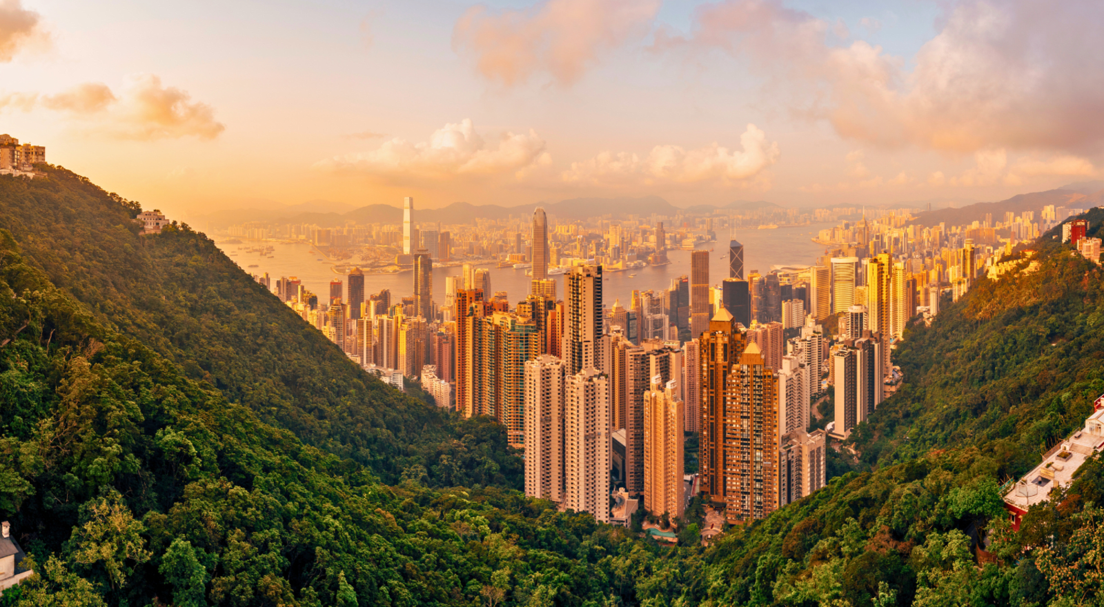 The Hong Kong cityscape viewed down a steep, tree-covered valley