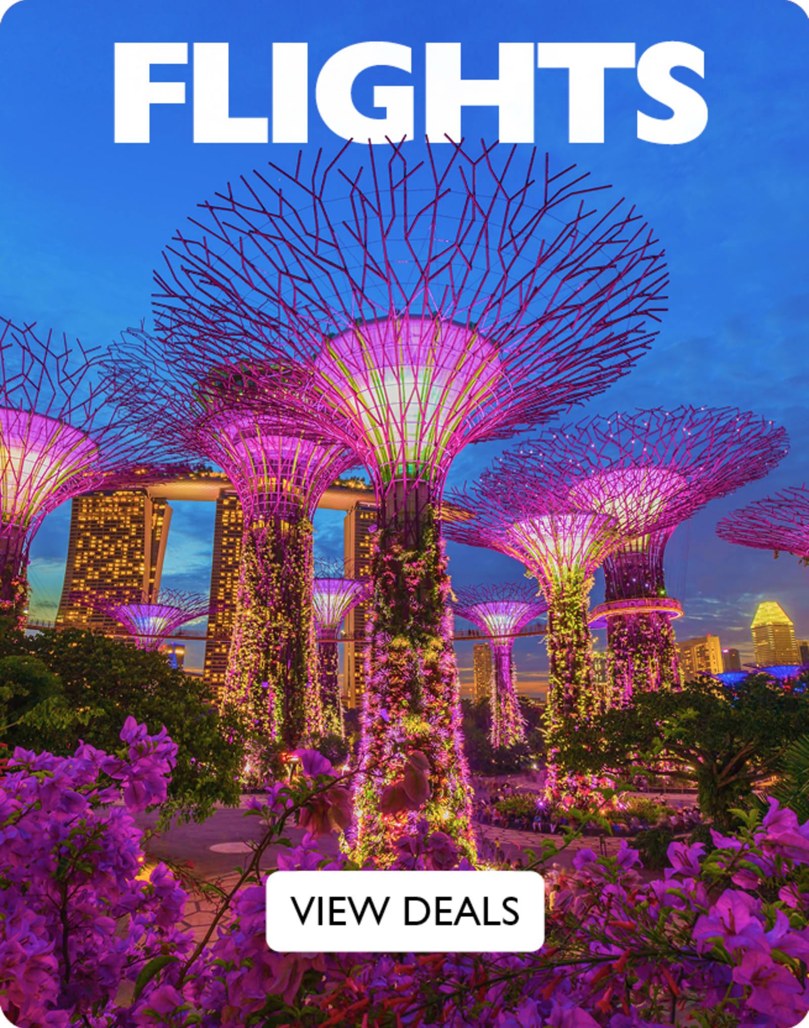Asia Flights on Sale